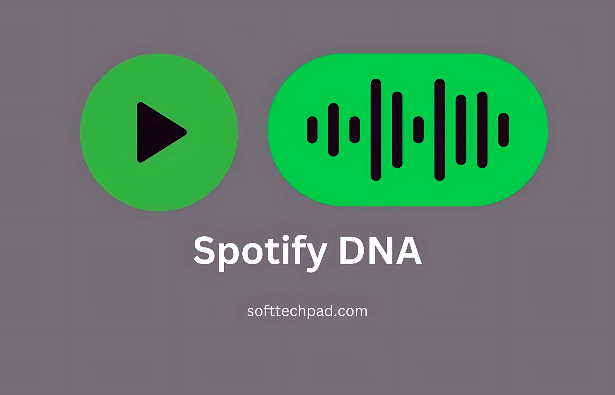 Spotify DNA: Discover Your Musical Identity