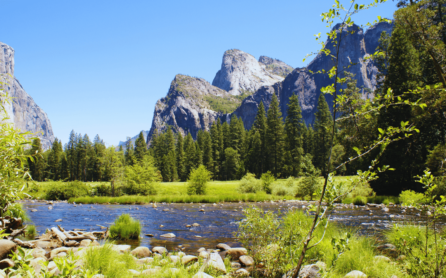 Understanding Biome Ecology: The Key Ecosystems Shaping Our World