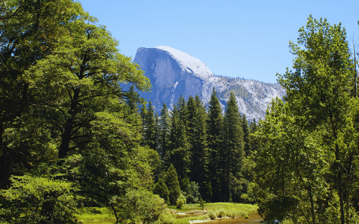 What Is a Biome? The Major Ecosystems of Our World Explained